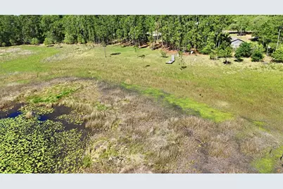 Tbd Holly Branch Road, Eustis, FL 32736 - Photo 3