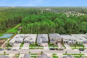 14353 Crest Palm Ave, Windermere, FL 34786 - Photo 71
