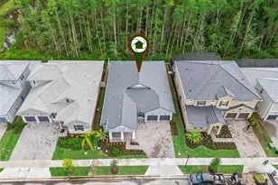 14353 Crest Palm Ave, Windermere, FL 34786 - Photo 61