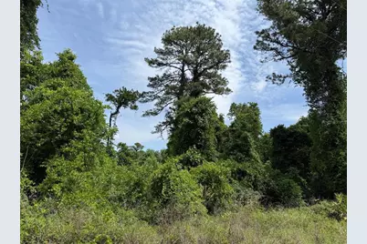 000 Folklore Dr, Satsuma, FL 32189 - Photo 1