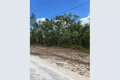 Sage Thrasher Ave, Weeki Wachee, FL 34614 - Photo 3