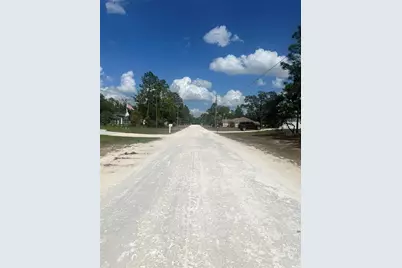 Sage Thrasher Ave, Weeki Wachee, FL 34614 - Photo 5