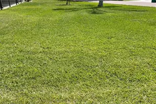 2804 Wekiva Rd, Tavares, FL 32778 - Photo 3