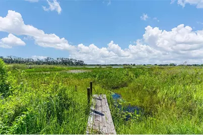 26833 Anderson Ranch Road, Yalaha, FL 34797 - Photo 3