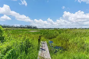 26833 Anderson Ranch Rd, Yalaha, FL 34797 - Photo 3