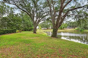 33746 Spring Dr, Leesburg, FL 34788 - Photo 55