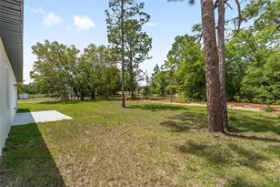 6926 N Lockwood Way, Citrus Springs, FL 34434 - Photo 23