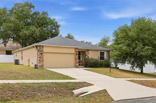306 Stone Point Ln, Lady Lake, FL 32159 - Photo 11