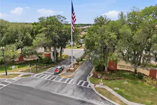 306 Stone Point Ln, Lady Lake, FL 32159 - Photo 35