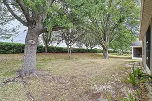 135 Crepe Myrtle Dr, Groveland, FL 34736 - Photo 47