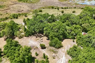 16050 SE 275th Ave, Umatilla, FL 32784 - Photo 7