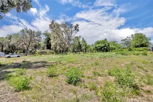 13450 SE 105th Terrace, Ocklawaha, FL 32179 - Photo 47