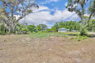 13450 SE 105th Terrace, Ocklawaha, FL 32179 - Photo 45
