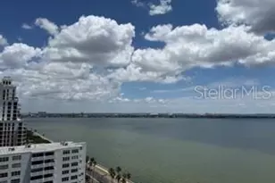 2413 Bayshore Blvd, Tampa, FL 33629 - Photo 3