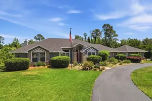 15241 Shady Ln, Tavares, FL 32778 - Photo 9