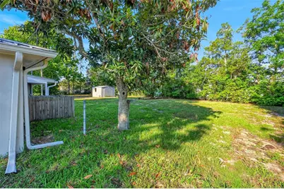 34125 S Haines Creek Road, Leesburg, FL 34788 - Photo 53