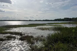 1794 Perch Hammock Loop, Groveland, FL 34736 - Photo 29