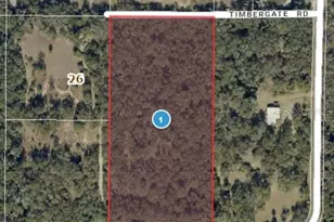 10755 Goose Prairie Rd, Leesburg, FL 34788 - Photo 1