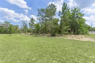 44 Malauka Dr, Ocklawaha, FL 32179 - Photo 33