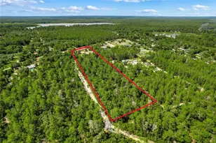 26106 Fishermans Rd, Paisley, FL 32767 - Photo 5