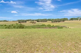 3626 Solana Cir, Clermont, FL 34711 - Photo 39