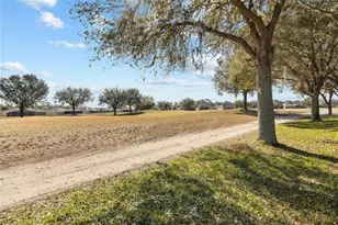 26709 Augusta Springs Cir, Leesburg, FL 34748 - Photo 43