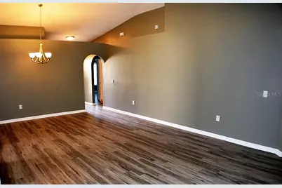 1017 Tawny Eagle Drive, Groveland, FL 34736 - Photo 5