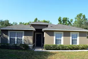 1017 Tawny Eagle Dr, Groveland, FL 34736 - Photo 1