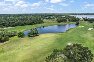 8011 Pine Hollow Dr, Mount Dora, FL 32757 - Photo 55
