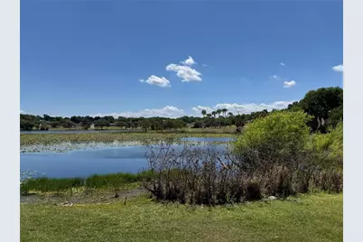 708 E Lemon Avenue, Eustis, FL 32726 - Photo 67