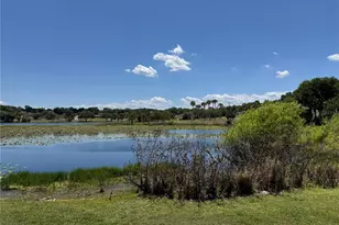 708 E Lemon Ave, Eustis, FL 32726 - Photo 67