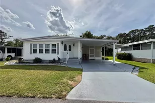 115 Bougainvillea Dr, Leesburg, FL 34748 - Photo 55