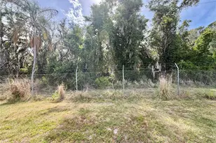115 Bougainvillea Dr, Leesburg, FL 34748 - Photo 63