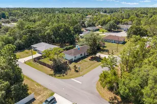 10 Pecan Radial Trce, Ocala, FL 34472 - Photo 39