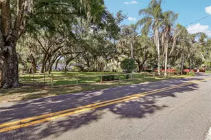 1190 Old Mt Dora Rd, Eustis, FL 32726 - Photo 5