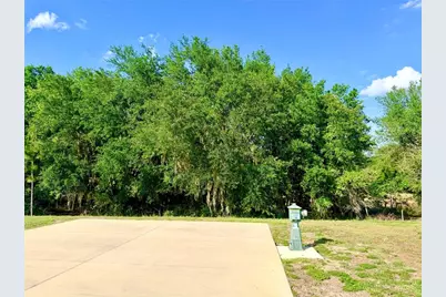 4933 SE 92nd Boulevard, Webster, FL 33597 - Photo 5