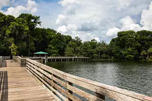 101 N Grandview St, Mount Dora, FL 32757 - Photo 59