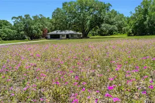 17373 SE 130th Ave, Weirsdale, FL 32195 - Photo 47