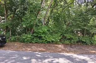 NW 2nd St, Webster, FL 33597 - Photo 1