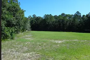 16201 Citrus Pkwy, Clermont, FL 34714 - Photo 37