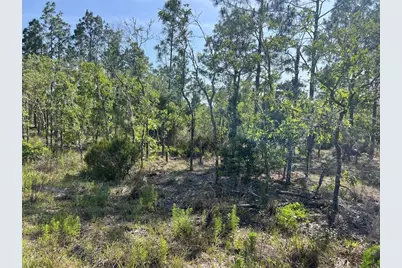 Ne 151st Avenue, Williston, FL 32696 - Photo 1