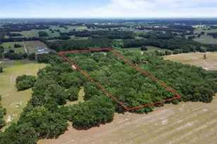 1153 Cr 722, Webster, FL 33597 - Photo 77