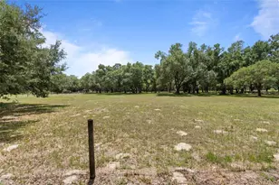 1153 Cr 722, Webster, FL 33597 - Photo 11