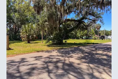 Lot 00200 Lenord Street, Umatilla, FL 32784 - Photo 3
