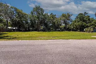 16200 Lenord St, Umatilla, FL 32784 - Photo 19