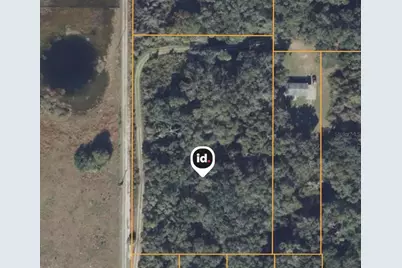 County Road 707, Webster, FL 33597 - Photo 5