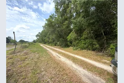 County Road 707, Webster, FL 33597 - Photo 3