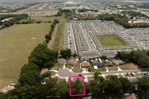805 Pleasantdale Dr, Wildwood, FL 34785 - Photo 19