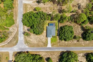 141 Fisher Way, Ocklawaha, FL 32179 - Photo 51
