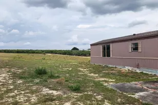 1943 Hunt Brothers Rd, Lake Wales, FL 33898 - Photo 13